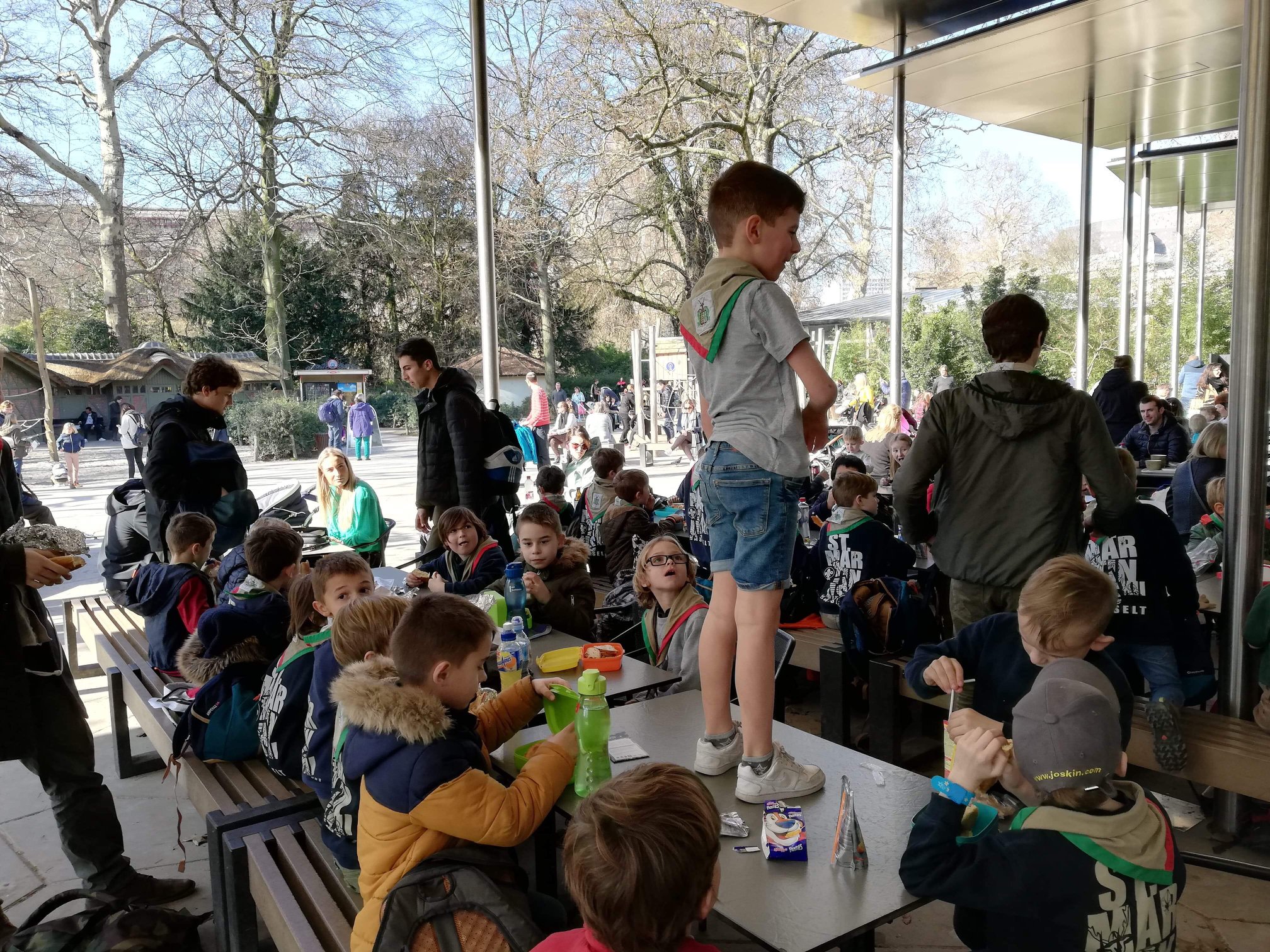 Sint-Martinus den XIIde - Zoo Antwerpen Kapoenen